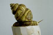 Schnecke, Essigbaum, L 18cm, 2009 - Holzskulpturen - Innenbereich - www.eva-nemetz.de